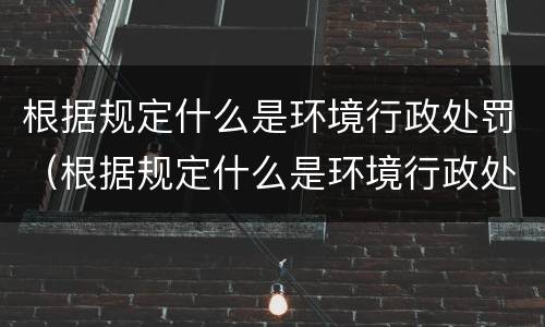 根据规定什么是环境行政处罚（根据规定什么是环境行政处罚决定）