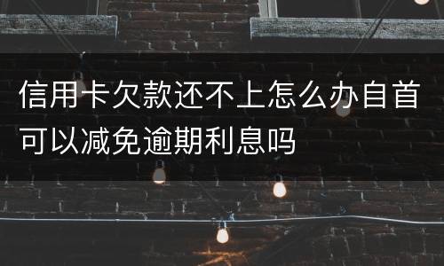 信用卡欠款还不上怎么办自首可以减免逾期利息吗