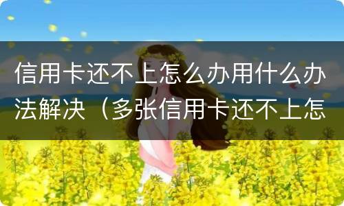 信用卡还不上怎么办用什么办法解决（多张信用卡还不上怎么办用什么办法解决）