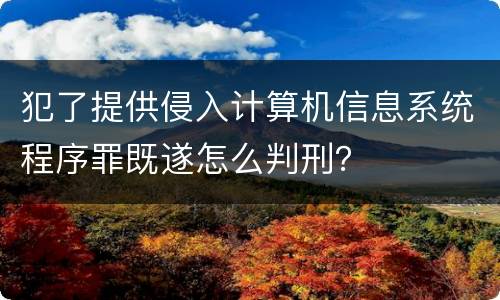 犯了提供侵入计算机信息系统程序罪既遂怎么判刑？