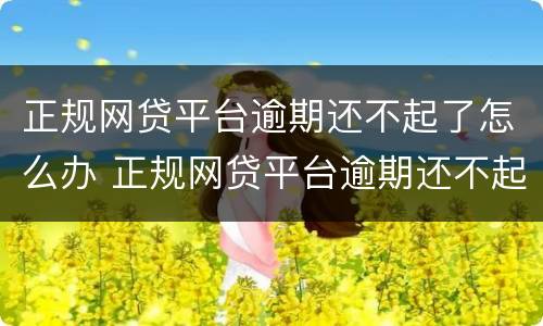 正规网贷平台逾期还不起了怎么办 正规网贷平台逾期还不起了怎么办呢