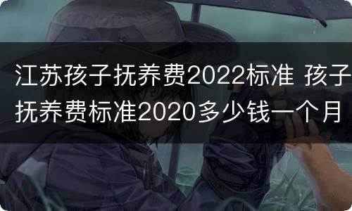江苏孩子抚养费2022标准 孩子抚养费标准2020多少钱一个月江苏