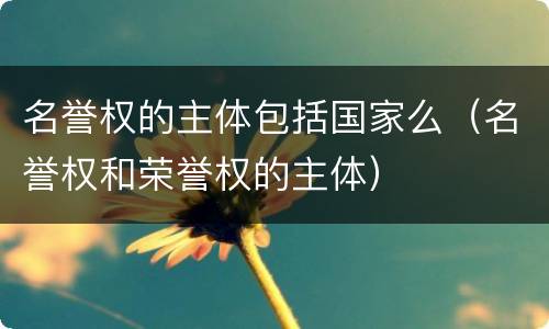 名誉权的主体包括国家么（名誉权和荣誉权的主体）