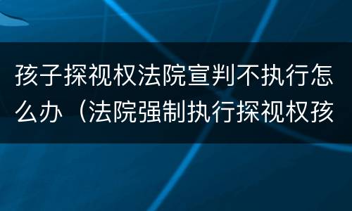 孩子探视权法院宣判不执行怎么办（法院强制执行探视权孩子不肯怎么办）