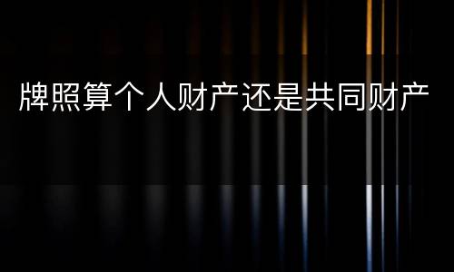 牌照算个人财产还是共同财产