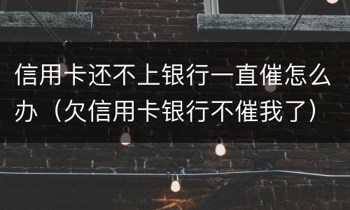 信用卡还不上银行一直催怎么办（欠信用卡银行不催我了）