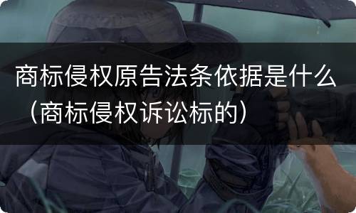 商标侵权原告法条依据是什么（商标侵权诉讼标的）