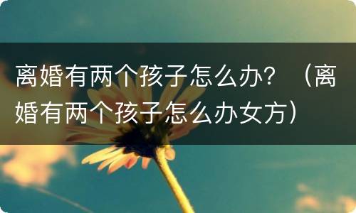 离婚有两个孩子怎么办？（离婚有两个孩子怎么办女方）