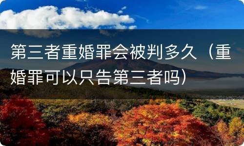 第三者重婚罪会被判多久（重婚罪可以只告第三者吗）