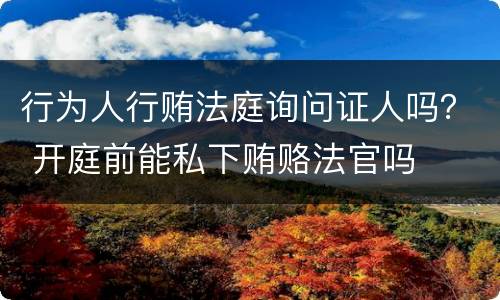 行为人行贿法庭询问证人吗？ 开庭前能私下贿赂法官吗