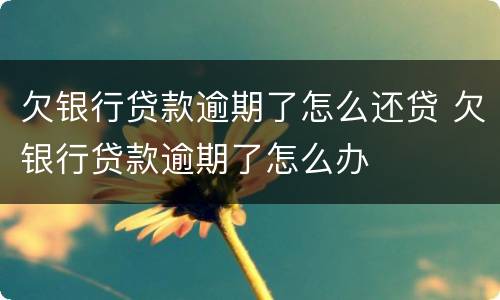 欠银行贷款逾期了怎么还贷 欠银行贷款逾期了怎么办