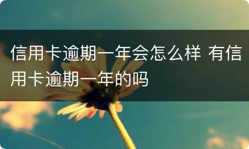 信用卡逾期一年会怎么样 有信用卡逾期一年的吗