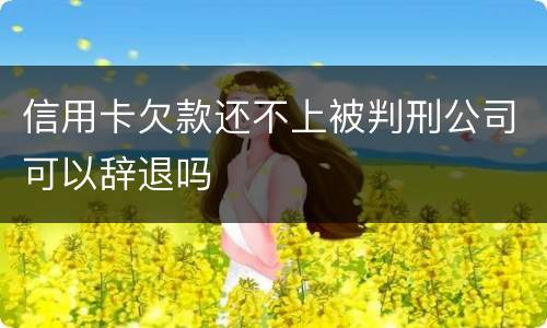 信用卡欠款还不上被判刑公司可以辞退吗