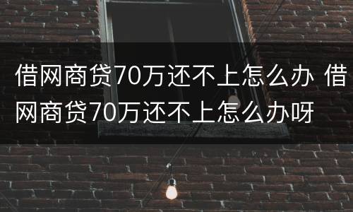 借网商贷70万还不上怎么办 借网商贷70万还不上怎么办呀