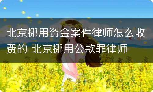 北京挪用资金案件律师怎么收费的 北京挪用公款罪律师