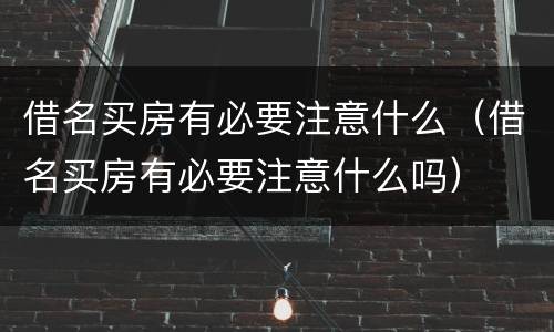借名买房有必要注意什么（借名买房有必要注意什么吗）