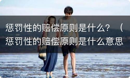 惩罚性的赔偿原则是什么？（惩罚性的赔偿原则是什么意思）