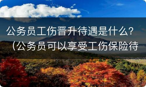 公务员工伤晋升待遇是什么？（公务员可以享受工伤保险待遇吗）