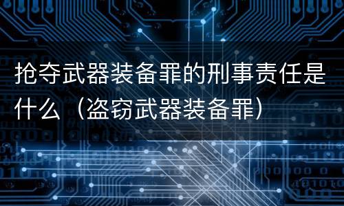 抢夺武器装备罪的刑事责任是什么（盗窃武器装备罪）