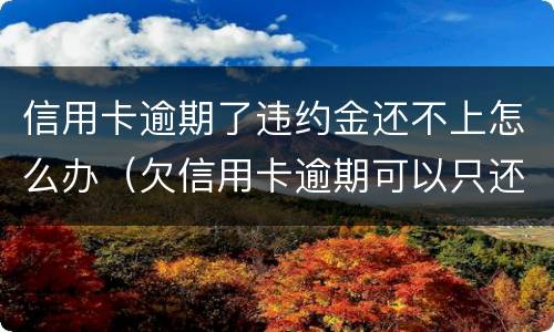 信用卡逾期了违约金还不上怎么办（欠信用卡逾期可以只还本金吗）