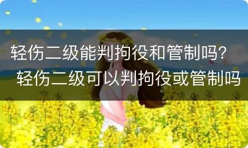 轻伤二级能判拘役和管制吗？ 轻伤二级可以判拘役或管制吗
