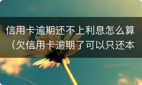 信用卡逾期还不上利息怎么算（欠信用卡逾期了可以只还本金不还利息吗）
