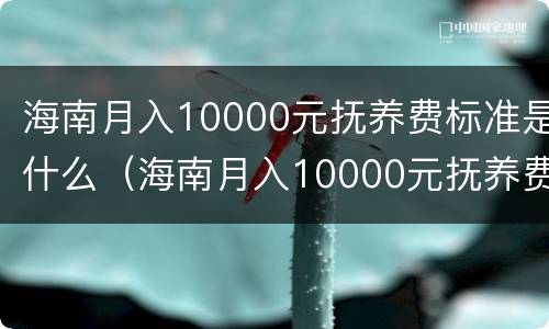 海南月入10000元抚养费标准是什么（海南月入10000元抚养费标准是什么呢）