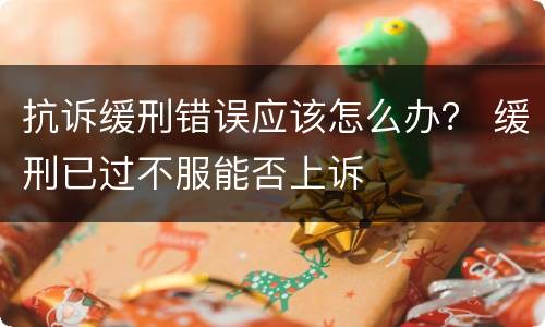 抗诉缓刑错误应该怎么办？ 缓刑已过不服能否上诉