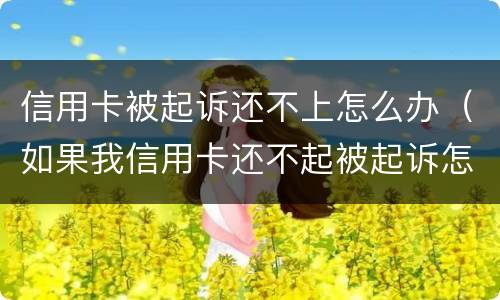 信用卡被起诉还不上怎么办（如果我信用卡还不起被起诉怎么办）