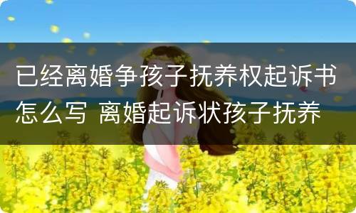 已经离婚争孩子抚养权起诉书怎么写 离婚起诉状孩子抚养