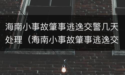 海南小事故肇事逃逸交警几天处理（海南小事故肇事逃逸交警几天处理完毕）