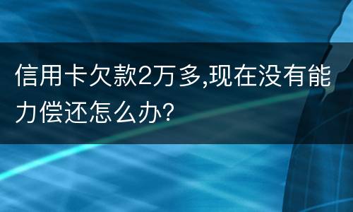 信用卡欠款2万多,现在没有能力偿还怎么办？
