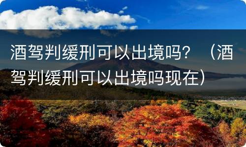 酒驾判缓刑可以出境吗？（酒驾判缓刑可以出境吗现在）