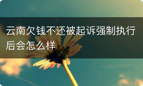 云南欠钱不还被起诉强制执行后会怎么样