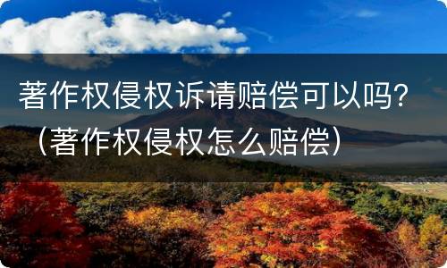 著作权侵权诉请赔偿可以吗？（著作权侵权怎么赔偿）
