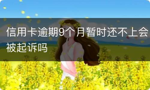 信用卡逾期9个月暂时还不上会被起诉吗