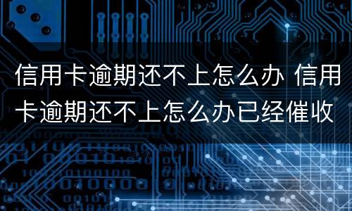 信用卡逾期还不上怎么办 信用卡逾期还不上怎么办已经催收了