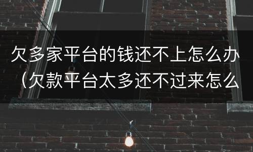 欠多家平台的钱还不上怎么办（欠款平台太多还不过来怎么办?）