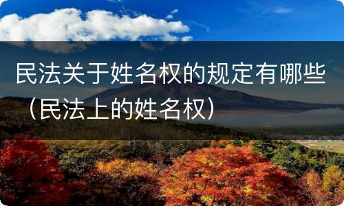 民法关于姓名权的规定有哪些（民法上的姓名权）