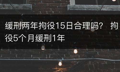 缓刑两年拘役15日合理吗？ 拘役5个月缓刑1年