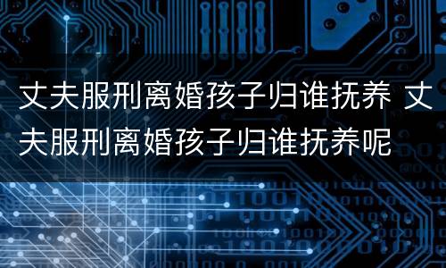 丈夫服刑离婚孩子归谁抚养 丈夫服刑离婚孩子归谁抚养呢