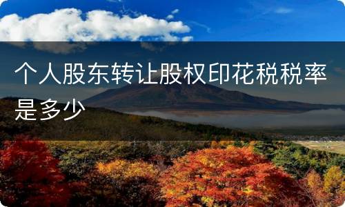 个人股东转让股权印花税税率是多少