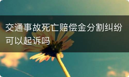交通事故死亡赔偿金分割纠纷可以起诉吗