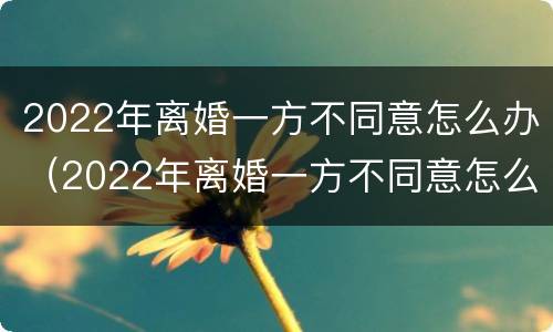 2022年离婚一方不同意怎么办（2022年离婚一方不同意怎么办需要多久能离婚）