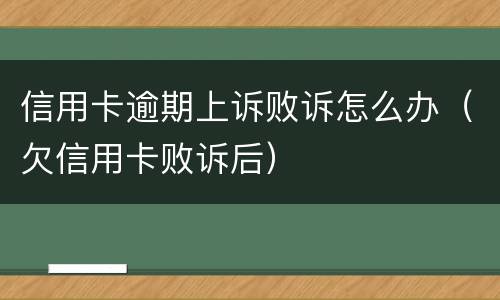 信用卡逾期上诉败诉怎么办（欠信用卡败诉后）