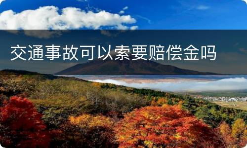 交通事故可以索要赔偿金吗