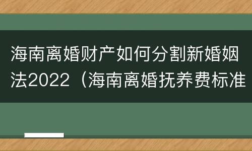 海南离婚财产如何分割新婚姻法2022（海南离婚抚养费标准）