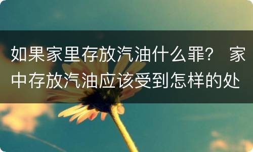 如果家里存放汽油什么罪？ 家中存放汽油应该受到怎样的处罚