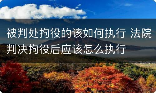 被判处拘役的该如何执行 法院判决拘役后应该怎么执行