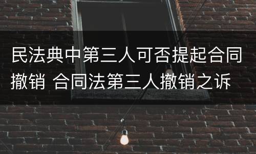 民法典中第三人可否提起合同撤销 合同法第三人撤销之诉